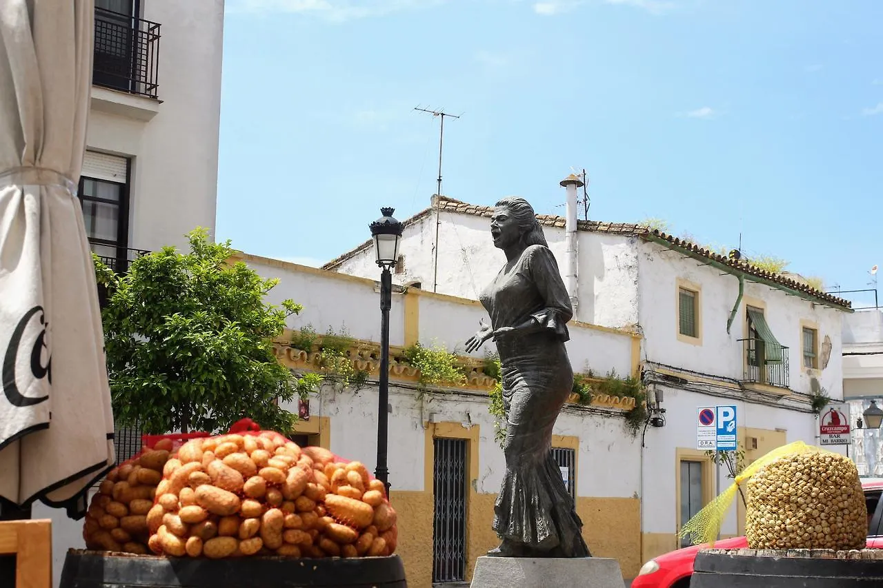 Duplex Paquera De Jerez Apartment Jerez de la Frontera Spain